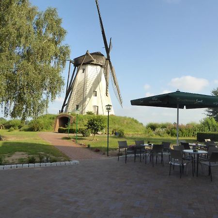 Landgasthaus Zur Muehlenwirtin Petershagen Dış mekan fotoğraf